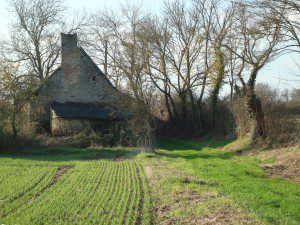 Chemin des Appris, vers Torcé.