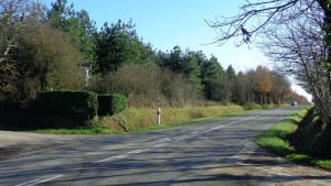 DSC03065
