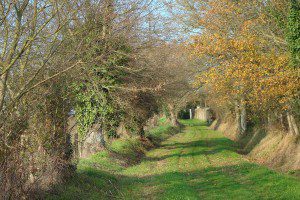 Chemin de Touche-Belin .Daon