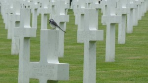 Cimetière américain de Montfaucon (51)