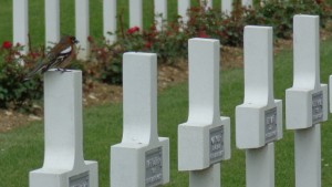 Cimetière de Douaumont